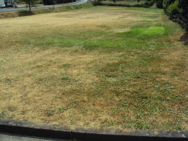 2010-07-21 Zelttage MaB 49.jpg